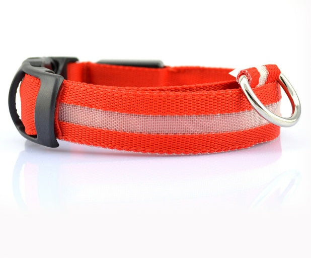 Dog LED Collar