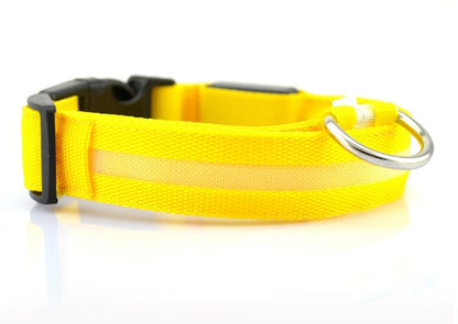 Dog LED Collar