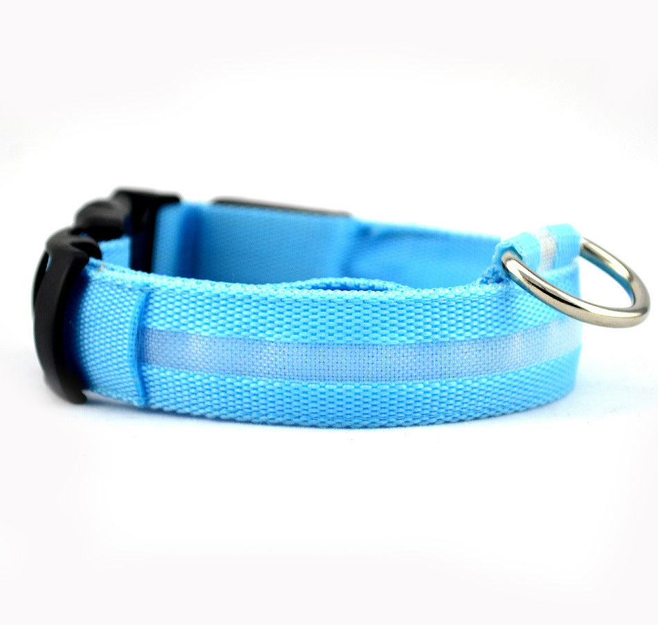 Dog LED Collar