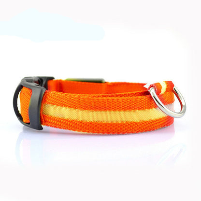 Dog LED Collar