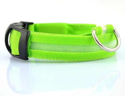 Dog LED Collar