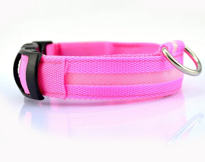 Dog LED Collar