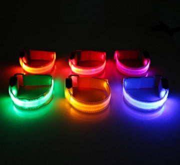 Dog LED Collar